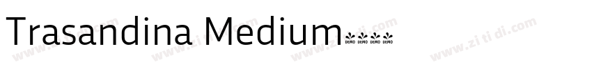 Trasandina Medium字体转换